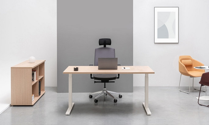 Bureau assis-debout &eacute;lectrique install&eacute; en entreprise